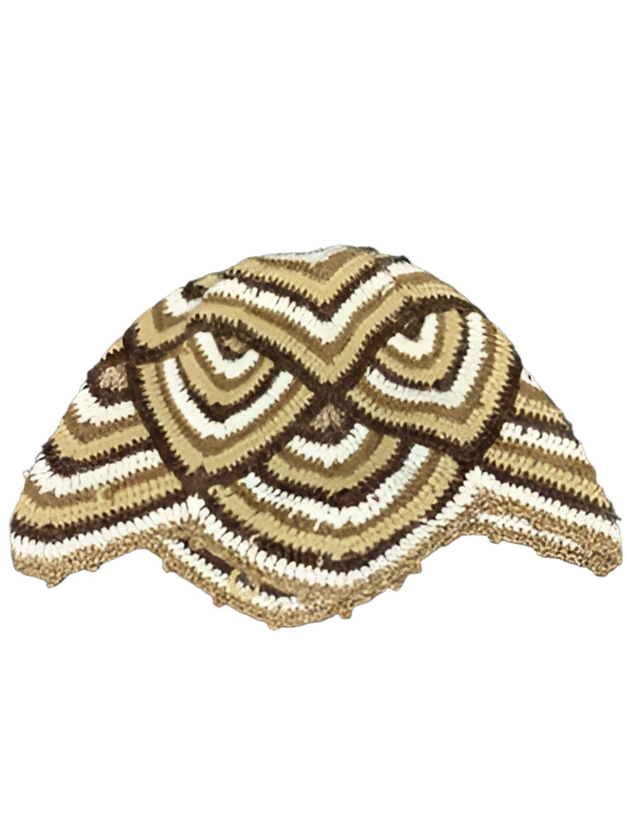 Crocheted Peruvian Beanie